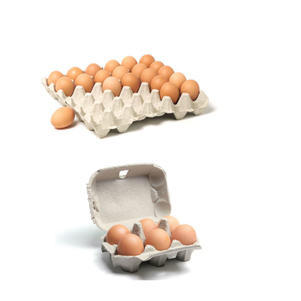 دستگاه ساخت سینی تخم مرغ خمیر کاغذ نیمه اتوماتیک-03 (2)